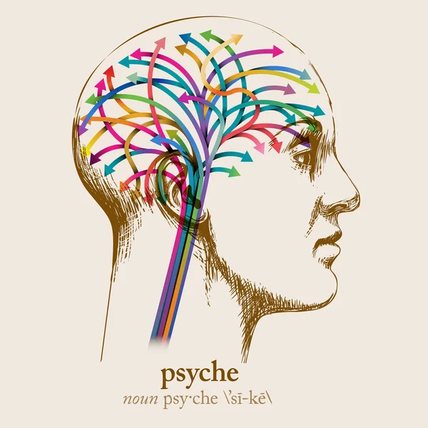 beyin okları insan kafa, ruh kavramı 