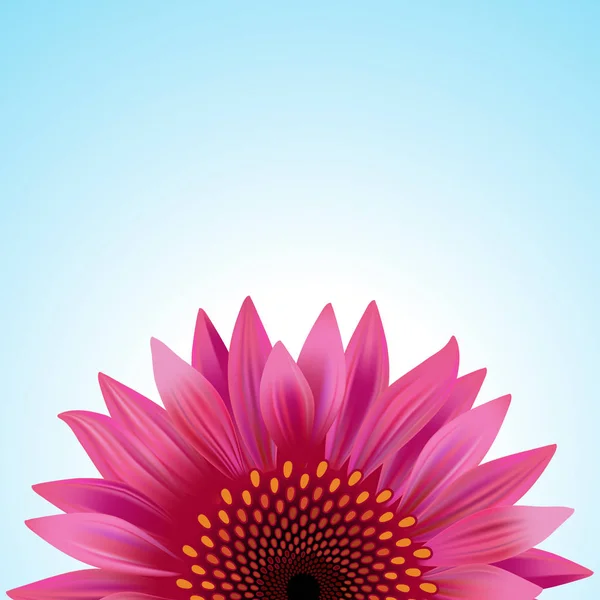 Pink Flower Blue Background — Stock Vector