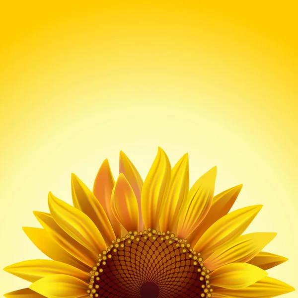 Bunte Sonnenblume Auf Gelbem Hintergrund — Stockvektor