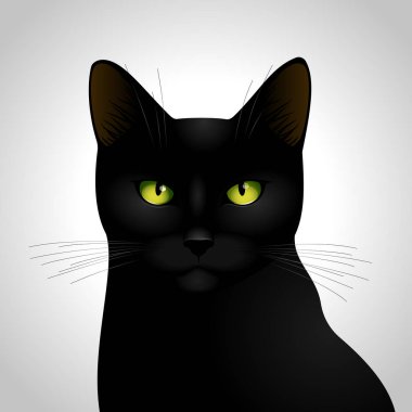 Siyah kedi beyaz arka planda izole edilmiş 