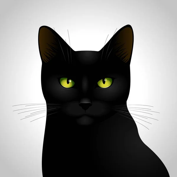 Black Cat Isolated White Background — Stock Vector