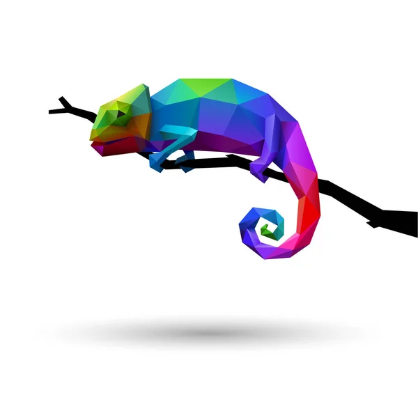 Beyaz arka plan üzerinde izole poli bukalemun 