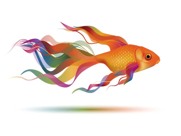 Beyaz arka plan üzerinde izole renkli balık