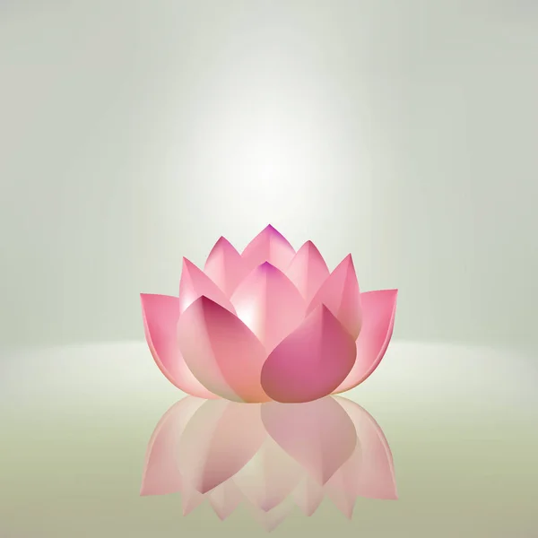 ışık arka plan üzerinde pembe lotus çiçeği