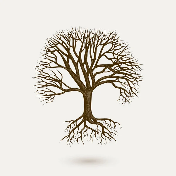 Modelo Árvore Colorida Fundo Branco — Vetor de Stock
