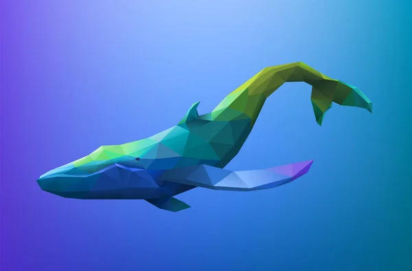 Couleur Poly Baleine Sur Fond Bleu — Image vectorielle