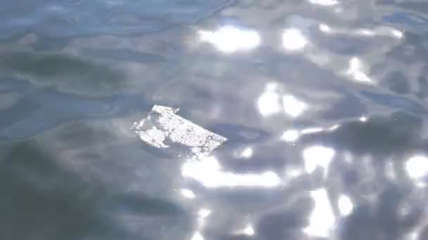 Plastic Bag Floating Sea Surface — Stock Video