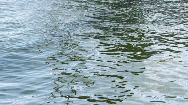 Doğal arkaplan olarak deniz yüzeyi, renk tonlu.
