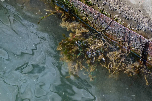 Pollution the sea surface.