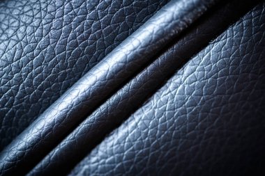 Deri, ayrıntıları odaklanmak. Makro alan sığ derinliği ile vurdu.