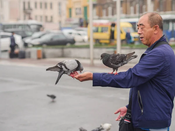 Wladiwostok Russland Juni 2018 Touristin Füttert Taube Auf Stadtplatz Wladiwostok — Stockfoto