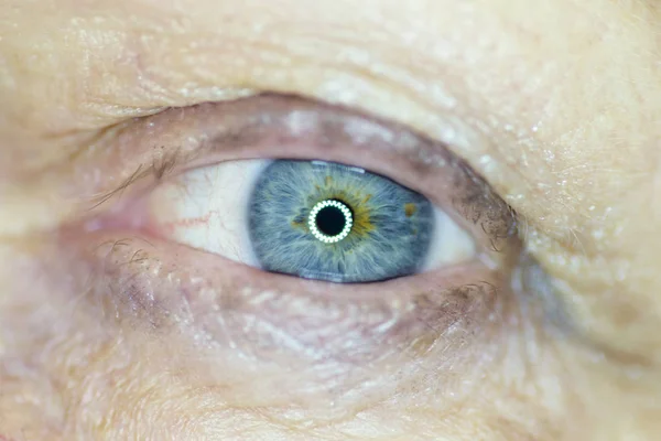 Human Eye Macro Shoot Selective Focus — Stock Photo, Image