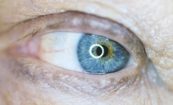 Human Eye Macro Shoot Selective Focus — Stock Photo, Image