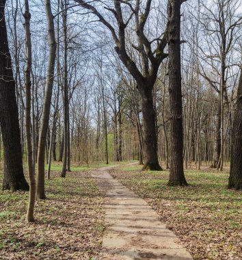 Bahar, Şehir Parkı.