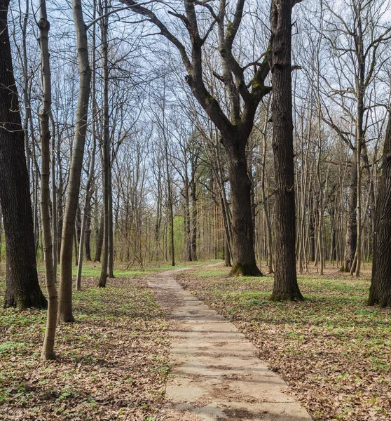 Stadspark Voorjaar — Stockfoto