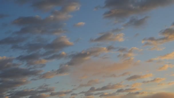 Wolken Himmel Mit Vögeln Natur Hintergrund Zeitraffer — Stockvideo