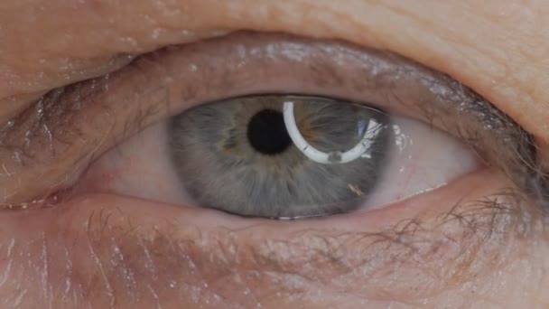 Fechamento Olho Feminino Azul Olhando Para Câmera Foco Seletivo — Vídeo de Stock