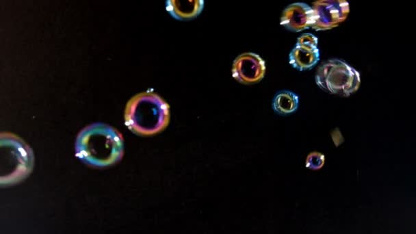 Soap Bubbles Dark Background — Stock Video