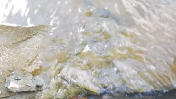 Agua Que Fluye Por Pequeño Arroyo Captura Pantalla Mano — Vídeos de Stock