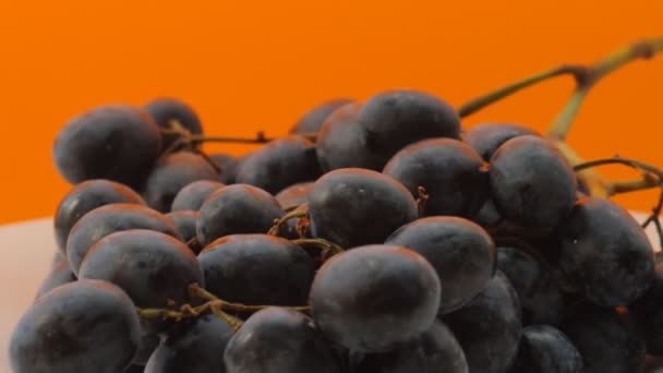 橙色背景下的黑葡萄在盘子里旋转 — 图库视频影像