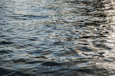 Doğal arkaplan olarak deniz yüzeyi, renk tonlu.