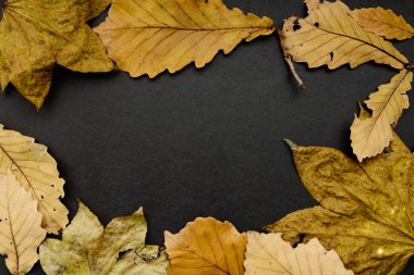 Çerçeve koyu arka plan üzerinde sonbahar yaprakları ile.