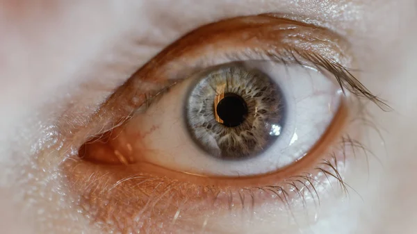 Blue Man Eye Contact Lens Macro Shot Shallow Depth Field — Stock Photo, Image