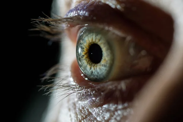 人間の目は マクロ撮影 選択と集中 — ストック写真
