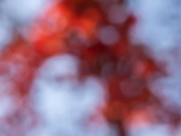 カラフルな秋ボケ 自然の背景 — ストック写真