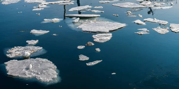 Jég Floes Tenger Felszínén — Stock Fotó