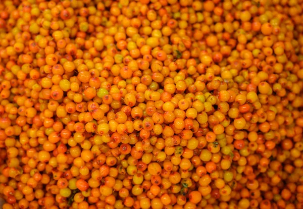 Fruits Dans Supermarché Argousier Congelé — Photo