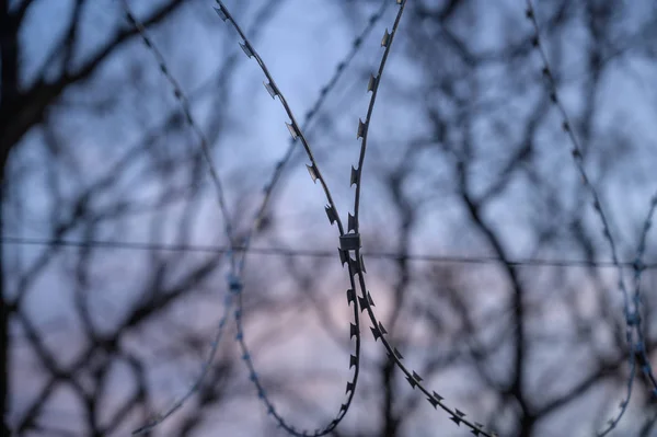 Prikkeldraad Hek Met Lucht Selectieve Focus — Stockfoto