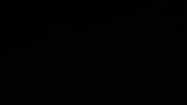 Fogos Artifício Céu Negro Noite Câmera Lenta — Vídeo de Stock