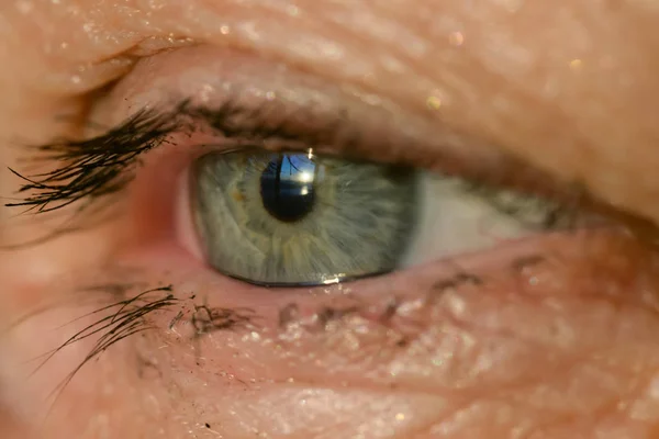 Human Eye Macro Shoot Selective Focus — Stock Photo, Image