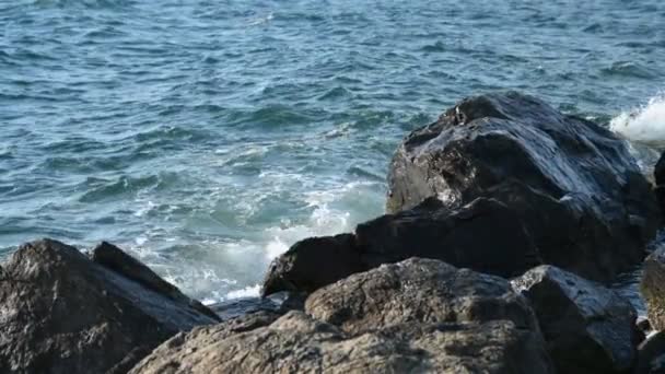 Ondas Beira Mar Movimento Lento Foco Seletivo — Vídeo de Stock