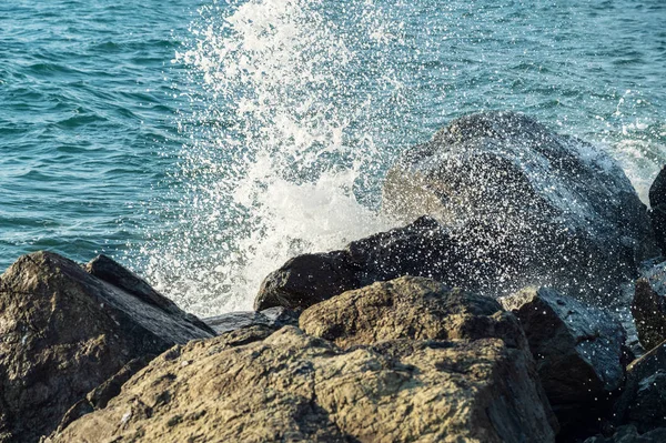 Des Vagues Bord Mer Mise Point Sélective Avec Faible Profondeur — Photo