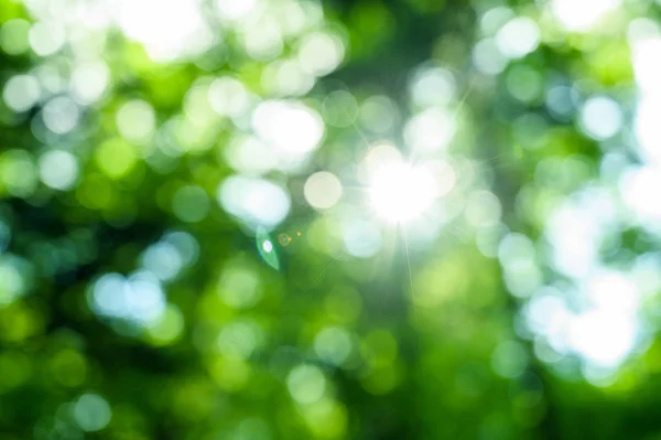 Natuurlijke Groene Bokeh Abstracte Achtergrond — Stockfoto