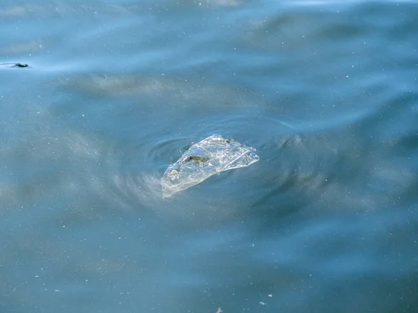 Plastic Zak Drijft Het Zeeoppervlak — Stockfoto