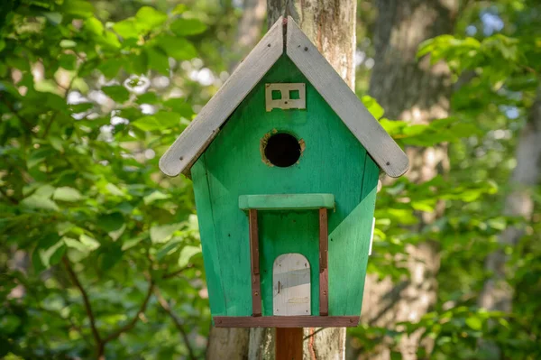 Alimentatore Uccelli Nella Foresta Autunnale — Foto Stock