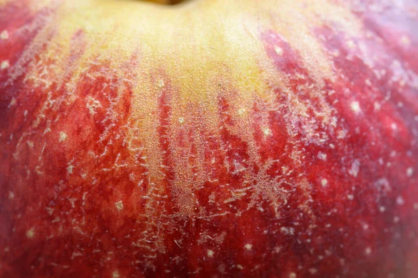 Макрофотографія Поверхні Яблука Вибірковий Фокус Невеликою Глибиною Різкості — стокове фото