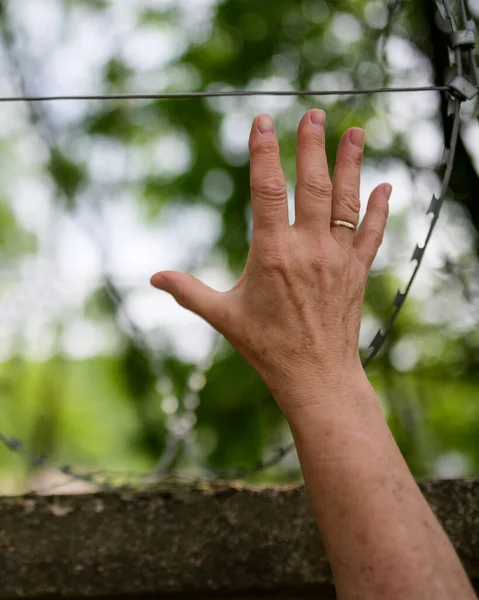 Mano Las Mujeres Tiende Mano Alambre Púas Concepto Libertad — Foto de Stock