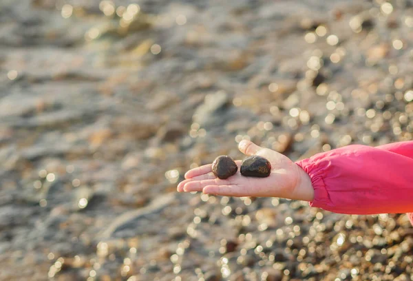 Menina Segurando Pequenas Pedras Calhau Mão — Fotografia de Stock