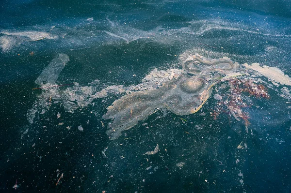 Oil Garbage Pollution Water Selective Focus — Stock Photo, Image