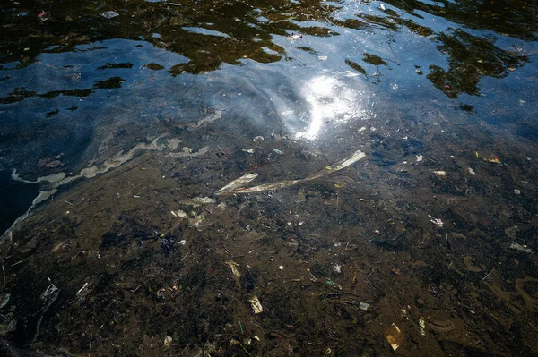 Olievervuiling Vuilnis Het Water Selectieve Focus — Stockfoto