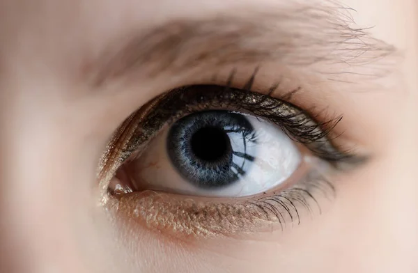 Blue Iris Eye Macro Shot — Stock Photo, Image