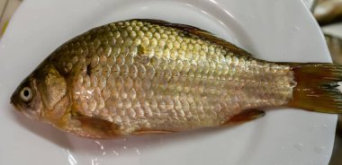 Beyaz tabakta yeni yakalanmış sazan balığı..