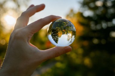 Sonbahar ormanında elde tutulan lensball. Sığ alan derinliğine sahip seçici odak.