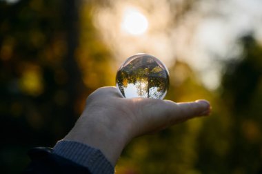Sonbahar ormanında elde tutulan lensball. Sığ alan derinliğine sahip seçici odak.