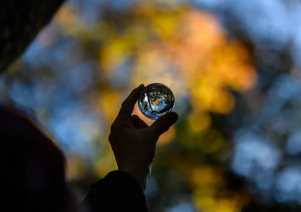 Handhållen Linsboll Höstskogen Selektivt Fokus Med Kort Skärpedjup — Stockfoto