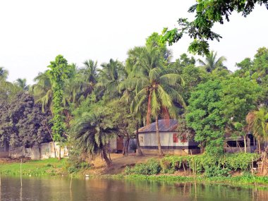 Padma River shore içinde küçük kültürel town, Kushtia, Bangladeş